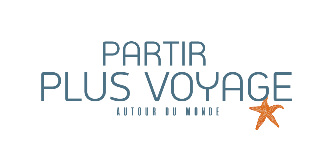 PARTIR PLUS VOYAGE logo (Site Web)